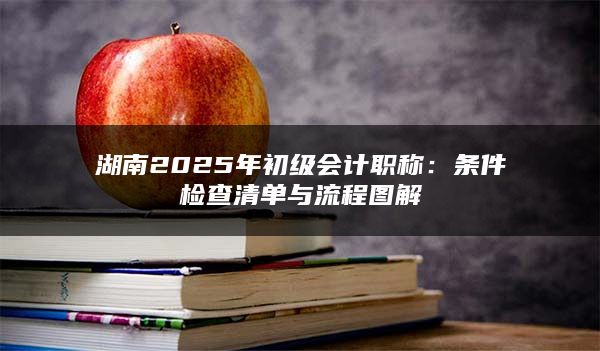 湖南2025年初级会计职称：条件检查清单与流程图解